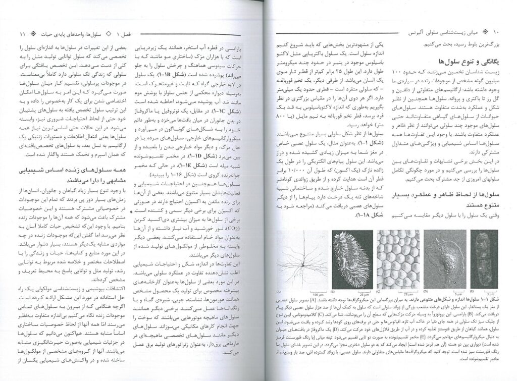 متن ترجمه PDF زیست شناسی آلبرتس 2024 - جلد اول