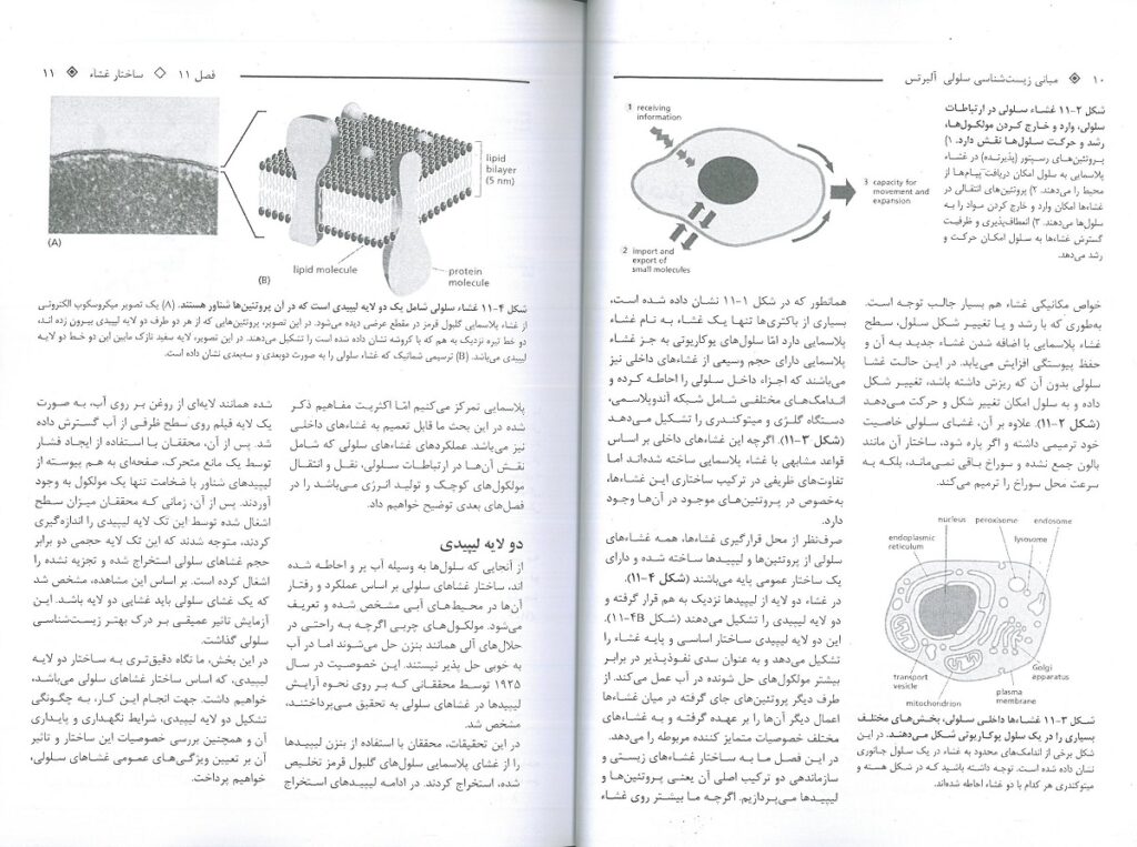 زیست شناسی آلبرتس 2024