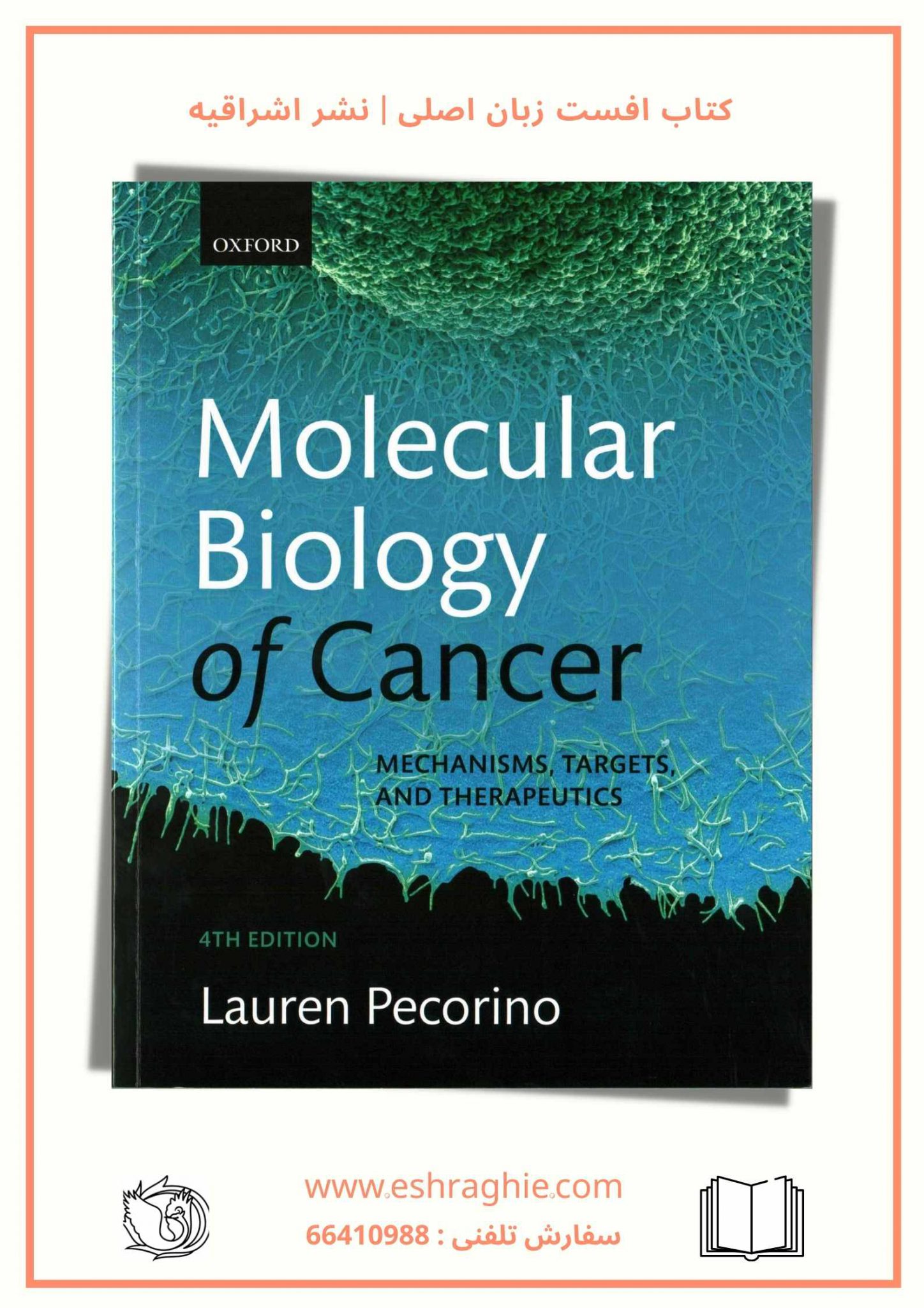 molecular-biology-of-cancer