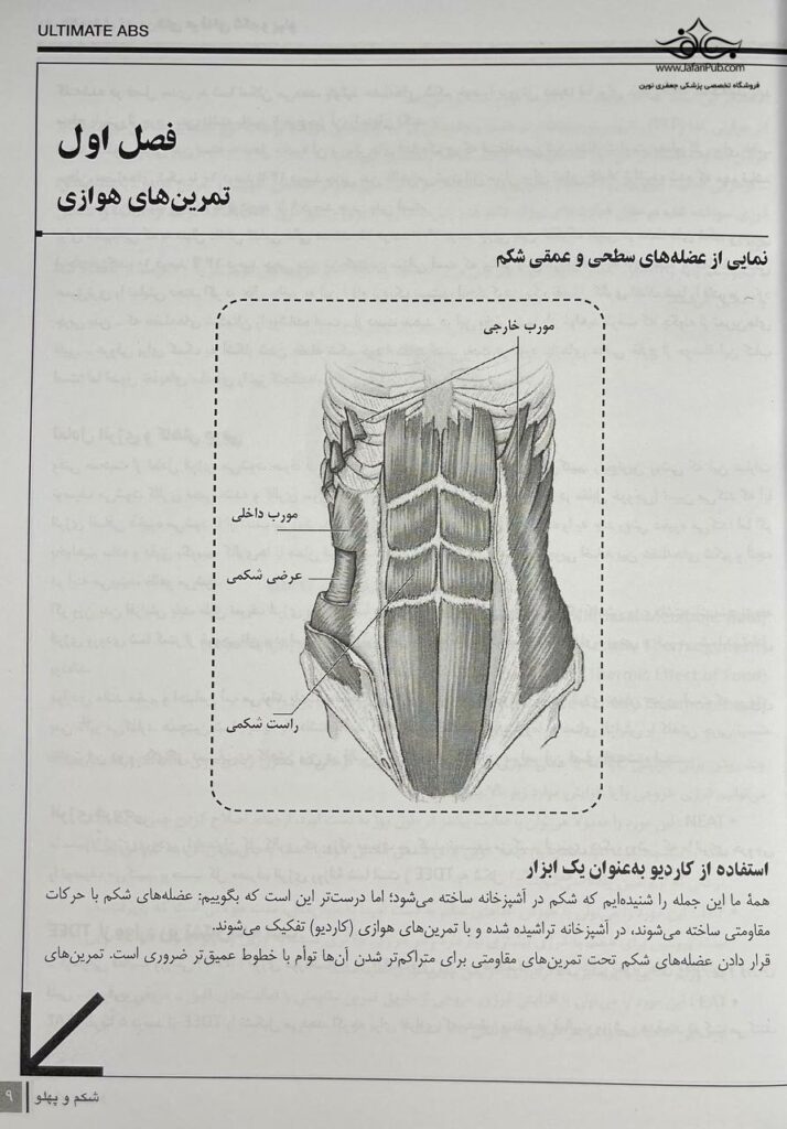 دایره‌المعارف تمرین‌های حرفه‌ای شکم و پهلو