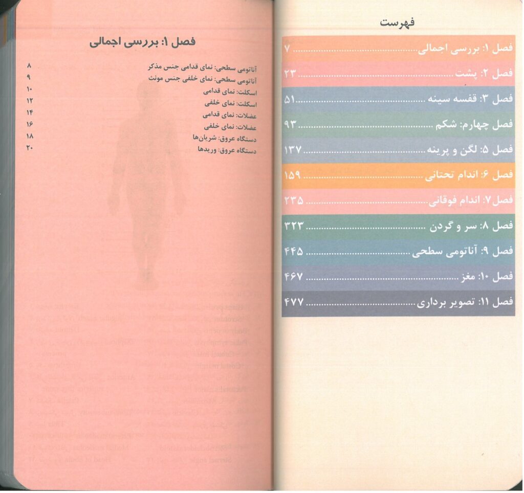 فلش کارت آناتومی گری - اطلس جیبی آناتومی گری 2024