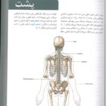 QRS | خلاصه آناتومی گری برای دانشجویان 2024 - دکتر شیرازی