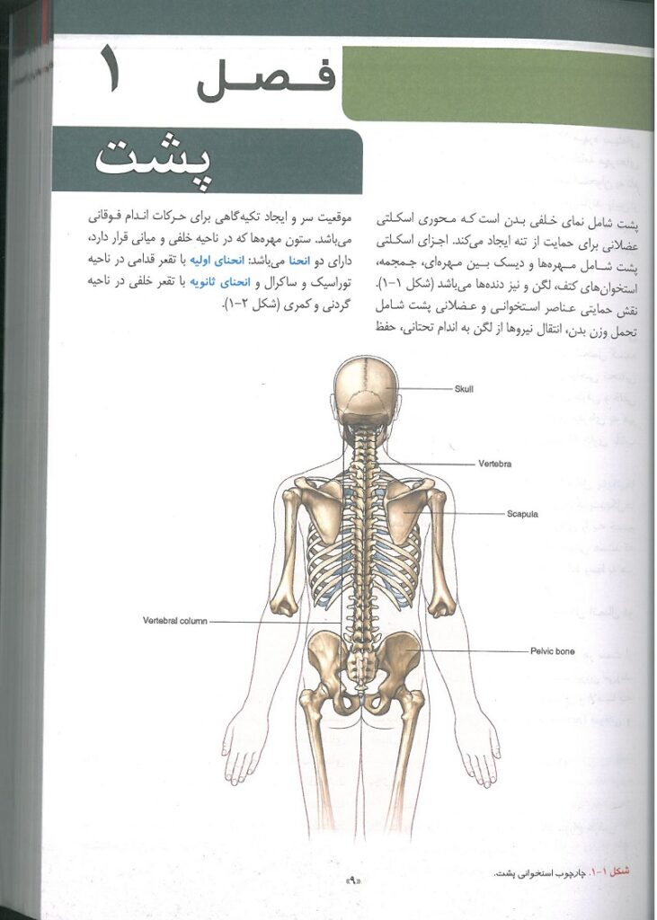 QRS | خلاصه آناتومی گری برای دانشجویان 2024 - دکتر شیرازی