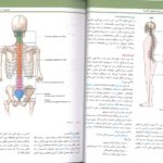 QRS | خلاصه آناتومی گری برای دانشجویان 2024 - دکتر شیرازی