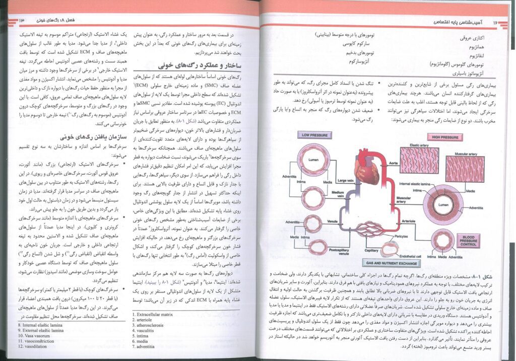 متن ترجمه فارسی کتاب آسیب شناسی اختصاصی رابینز 2023 - ابن سینا